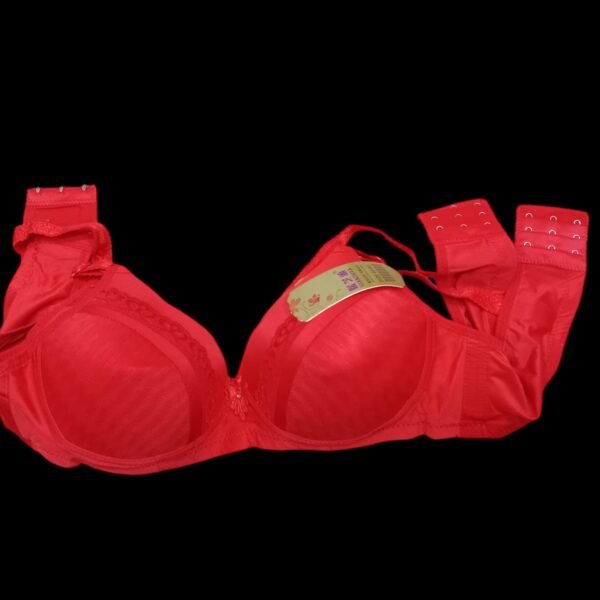 Padded Bra for Women - Comfort & Style | 36 to 40 Size - Image 2