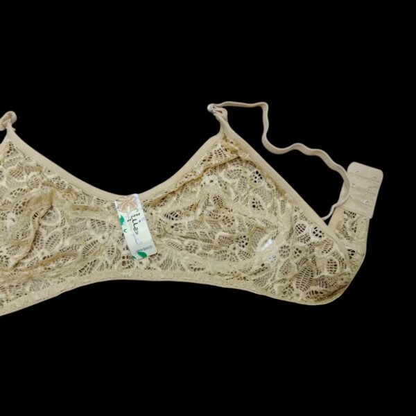 Delicate Net Bra for Women | Elegance & Comfort - Image 2
