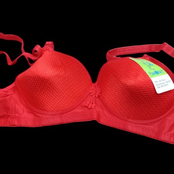 Women's Padded Bra in Multiple Colors | 32 TO 36 Size - Image 17