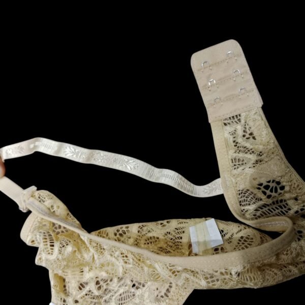 Delicate Net Bra for Women | Elegance & Comfort - Image 3