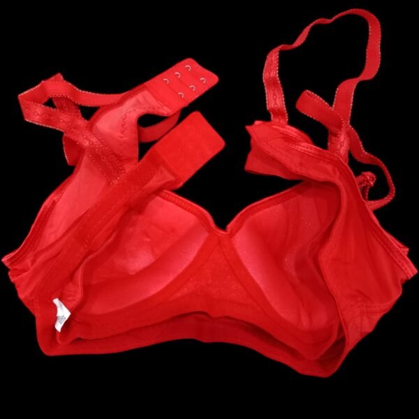 Women's Padded Bra in Multiple Colors | 32 TO 36 Size - Image 18