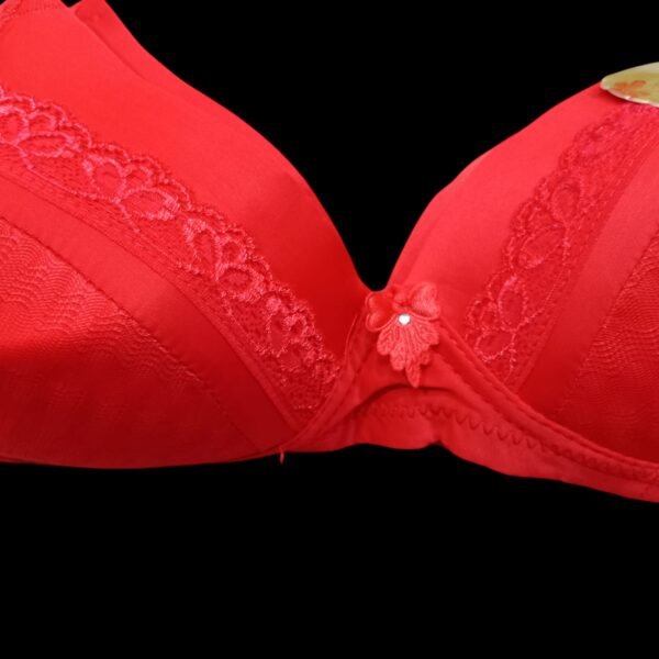 Padded Bra for Women - Comfort & Style | 36 to 40 Size - Image 3