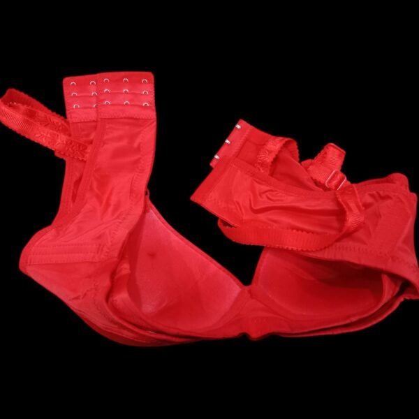 Padded Bra for Women - Comfort & Style | 36 to 40 Size - Image 4