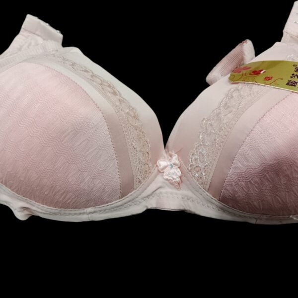 Padded Bra for Women - Comfort & Style | 36 to 40 Size - Image 5